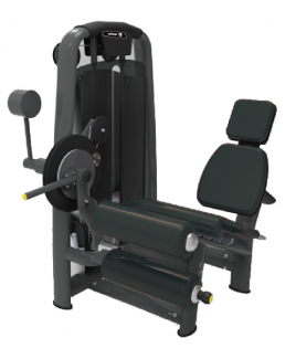 SEN GYM SPX-2060 LEG CURL&EXTENSION